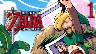 Plages Mouettes Amourette et Désillusion  Zelda Links Awakening DX  Part 1 [upl. by Fang]