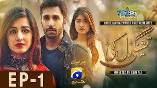 Tishnagi Dil Ki Episode 1 [upl. by Ratib]