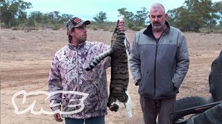 Farmer Has A Feral Pig Problem  Pest Control Shooting In Australia  ATV Thermal amp 308w Hunting [upl. by Thetes]