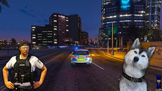 AUF STREIFE  DER SPEZIALIST 🚔 GTAROLEPLAY  Deutsch  GERMAN GTA HOOD [upl. by Braswell]