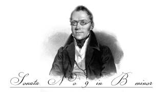 Carl Czerny  Piano Sonata No9 in B minor  I Allegro con brio B minor 16 [upl. by Adirehs]