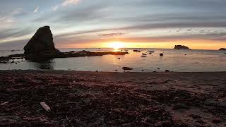 Backpacking Olympic National Park Ozette Triangle and Wedding Rocks September 1718 2022 [upl. by Kral456]