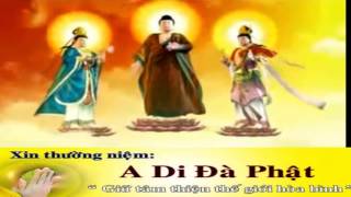 Nhạc Niệm PHật Nam Mô Bổn Sư Thích Ca Mâu Ni PHậtA Di Đà PHật Quán Thế Âm Bồ Tát Tổng Hợp [upl. by Lundgren]