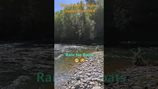 Alive On Island  Blue Creek Cowlitz River [upl. by Aeresed]