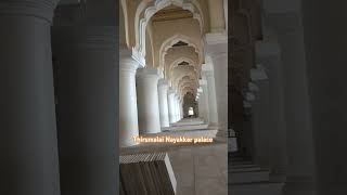 Thirumalai Nayakkar palace madurai travel shorts southindiatour [upl. by Sices633]