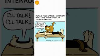 Garfield History of Cats [upl. by Dede]