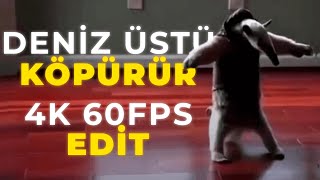 Deniz Üstü Köpürür Karınca Yiyen • 4K 60 FPS EDİT [upl. by Tildi]