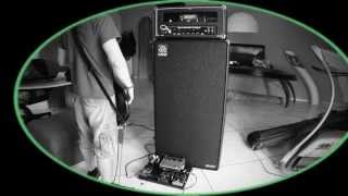 Weber Mywatt 200  Ampeg Heritage SVT810e [upl. by Llewellyn]