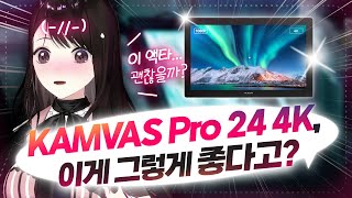 프로급 액정 타블렛 quotKAMVAS Pro 24 4Kquot 3주간 사용해봤습니다 [upl. by Yraunaj]