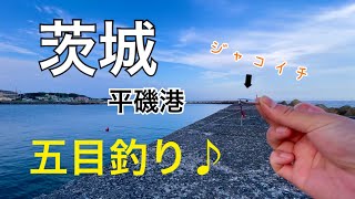 茨城県の大洗平磯港で夏の五目釣りをしてきた♪ 釣り ＃海釣り 茨城 [upl. by Lindo43]