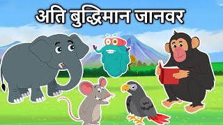 कौनसा जानवर अति बुद्धिमान है  Super Intelligent Animals In Hindi  Dr Binocs Show [upl. by Bathelda]