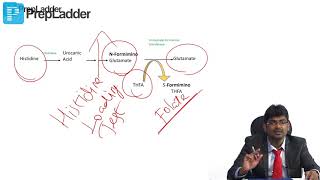 One carbon metabolism FIGlu excretion  MCQs discussion [upl. by Eitirahc]