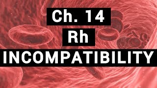 Ch14 Rh INCOMPATIBILITY  BLOOD PHYSIOLOGY [upl. by Seditsira142]