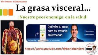 Información que el Docente de Educación Física debe saber y promover Catedra del Dr Borja Bandera [upl. by Dinerman]