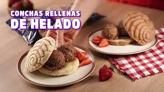 Conchas heladas [upl. by Sidnak]