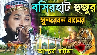 বসিরহাট হুজুর ও সুন্দরবনের বাঘের আশ্চর্য ঘটনা┇মাওঃ ওহিদুল ইসলাম সাহেব┇Maulana Ohidul Islam Waz 2024 [upl. by Weihs]