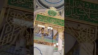 Riyad Al Jannah  The Rawdah madinah saudiarabia riyajul rawdah prophet muhammad islam muslim [upl. by Asinet74]