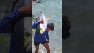 Big Tuna Sablayan Occidental Mindoro Philippines [upl. by Aicirtal]