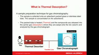 Choosing the Right Adsorbent for Your Thermal Desorption Gas Chromatography Applications [upl. by Ronym]