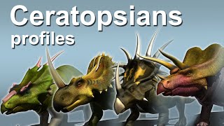 Ceratopsians profiles [upl. by Tammara]