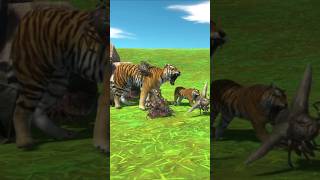 Tigress Vs Bug animals 3danimation youtubeshorts foryou tiger [upl. by Luzader]