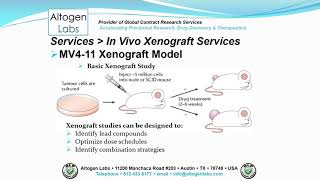 Altogen Labs MV411 Xenograft Service Leukemia [upl. by Heigho38]