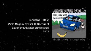 Normal Battle  Shin Megami Tensei III Nocturne COVER extended METHOUSE2 [upl. by Yortal]