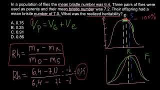 How to calculate realized heritability [upl. by Cullan]