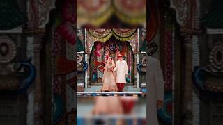 Radhika ambani wedding songs shortfeed song ambani [upl. by Veedis]