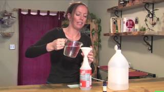 How to Make AllPurpose Cleaner [upl. by Khichabia]