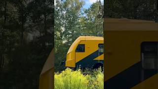 Wheel sound of Škoda 16Ev train 🇱🇻 [upl. by Anialed]