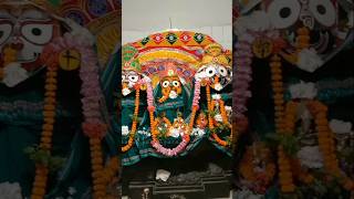 jagatara jamidara Jay jagannath odiaparampara [upl. by Leemaj]