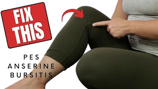 Pes Anserine Bursitis Knee  Treatment amp Exercise to Reduce Pain [upl. by Palumbo]