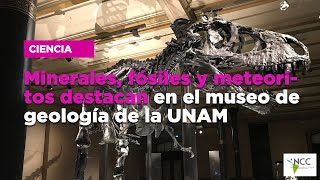 Minerales fósiles y meteoritos destacan en el museo de geología de la UNAM [upl. by Fitts993]