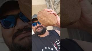 అమెరికాలో 15 kg Sapota Mamey sapote in USA అంత తియ్యగా అయితే ఏమీలేదు sweet potato taste undi [upl. by Edahs]