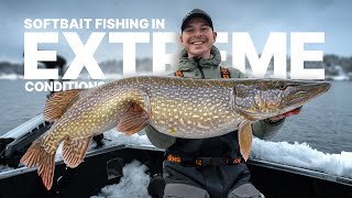 Softbait Fishing in Extreme Conditions with Sean Wit and Jakob Rutkvist [upl. by Richara876]