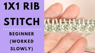 1x1 Rib Stitch for Beginners  Learn to Knit [upl. by Anippesuig]