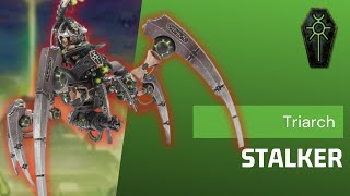 7 Important Questions Before Using The Necrons Triarch Stalker [upl. by Thornburg903]