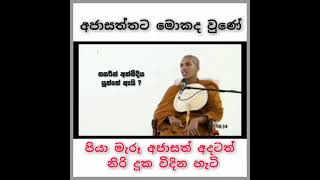 අජාසත්ත අදටත් නිරයේ venkirulapana dhammavijaya thero [upl. by Leirad737]