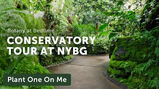 New York Botanical Garden CONSERVATORY Tour — Ep 356 [upl. by Isabella]