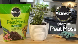 Watch sphagnum moss in action  Science News [upl. by Hyams]