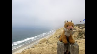 USA  California Vacation day 9  Trip to San Diego and cloudy time at Blacks Beach [upl. by Aidul]