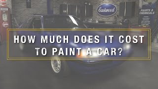 How Much Does It Cost To Paint A Car Kevin Tetz On Professional Paint Jobs  Eastwood [upl. by Ermanno]