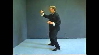 Yang Style Tai Chi Long Form Master Course  Lesson 19 [upl. by Earised]