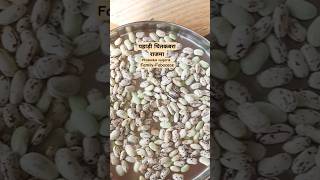 Pinto Beans used in Indian cooking sweetish flavour with smooth creamy texture rich in vitaproteans [upl. by Blackwell]