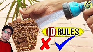 WATERING Plants Correctly in Gardening  How to water a plant amp How Often [upl. by Culosio]