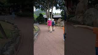 Nan liang garden diamondhill likeandsubscribe [upl. by O'Grady]