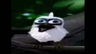 Bird screaming meme bird screaming original meme [upl. by Helbon]