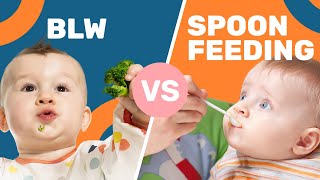 Is BabyLed Weaning ACTUALLY Better Than Spoon Feeding [upl. by Kcirdez159]