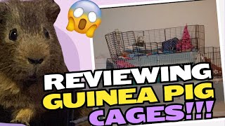 rating the guinea pig cages of reddit some of these will shock you [upl. by Dulciana520]